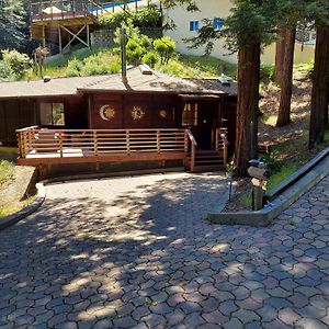 Redwood Retreat Walk To Downtown Mt Tam Muir Woods Villa Mill Valley Exterior photo