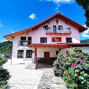 Pensiunea Anca Hotel Statjunea Borsa Exterior photo