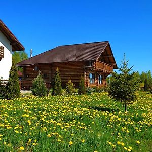 Pensiunea Lacul Mocearu Hotel Budesti  Exterior photo