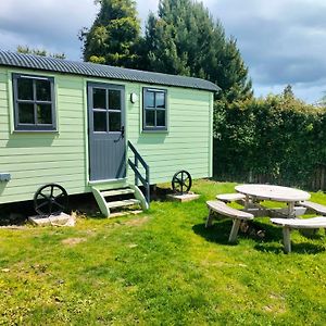 Shepherd'S Hut In Nature Apartment Newtownmountkennedy Exterior photo