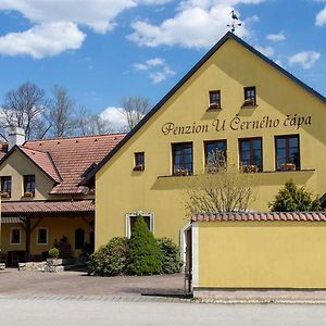 Penzion U Cerneho Capa Hotel Lasenice Exterior photo