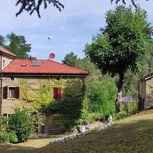 Porcaticcio, Ferienhaus Im Wald Mit Pool - B51971 Apartment Casola Valsenio Exterior photo