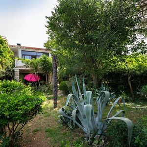 Fantastic Garden Zoey Apartment Novalja Exterior photo