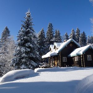 Domaine Le Bostonnais - Le Village En Bois Rond La Tuque Exterior photo