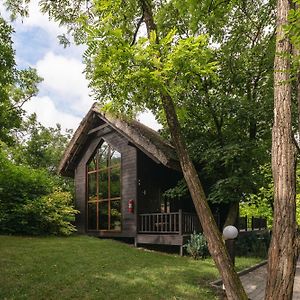 Tree House Relax Park Hotel Chisinau Exterior photo