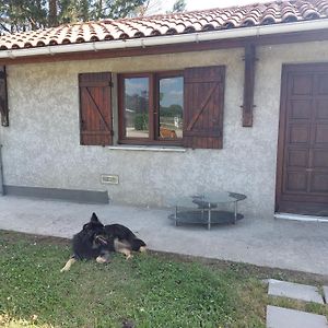 Petite Maison Tranquille Villa Saint-Denis-de-Pile Exterior photo