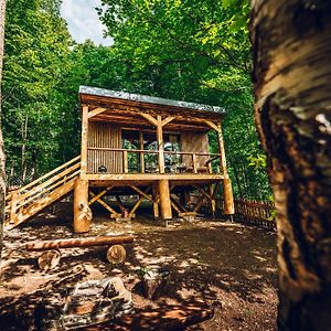 Treehouse Obrovisko Muran Apartment Room photo