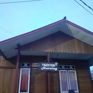 Tiger Fish Homestay Bunaken Exterior photo