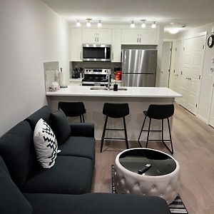 The Haven - Cozy 1 Bedroom Suite In Seton Se Calgary Exterior photo