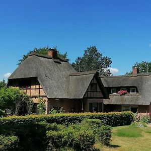 Reetgedecktes Ferienhaus Am Strandweg In Luetjensee Villa Lutjensee Exterior photo