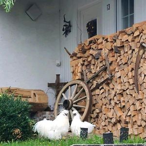 Cozy And Quite Apartment Near Black Forest Schoemberg  Exterior photo