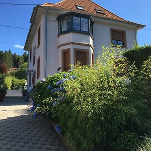 Les Hortensias En Alsace - Meuble De Tourisme 3 Etoiles Apartment Barembach Exterior photo