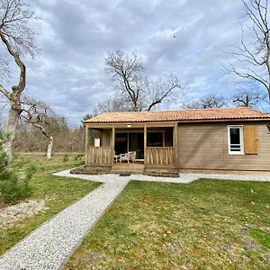 Chalet Cosy Villa Labouheyre Exterior photo