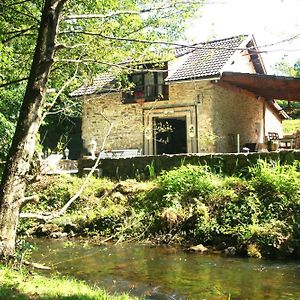 Moulin Du Xiieme Siecle Villa Bersac-sur-Rivalier Exterior photo