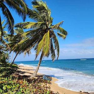 White Paradise Seaside Haven Relax And Unwind Apartment Vega Baja Exterior photo