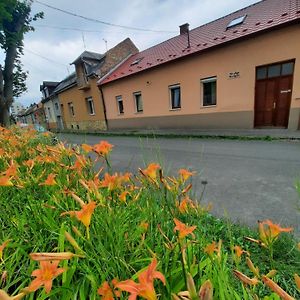 Kis Rigo Vendeghaz Hotel Salgotarjan Exterior photo