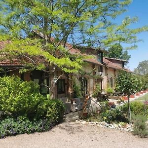 Domaine Des Cerisiers Villa Berville-sur-Mer Exterior photo