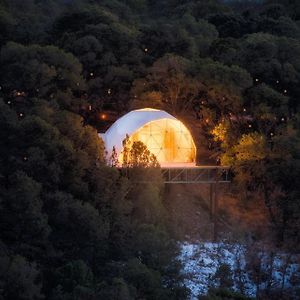 Zia Geo Dome At El Mistico Ranch, Glamping Villa Nogal Exterior photo