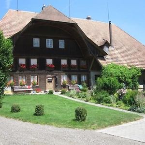 Bauernhof-Bleiche Apartment Rohrbach Exterior photo