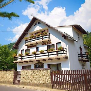 Pensiunea Adelina Hotel Moieciu de Jos Exterior photo