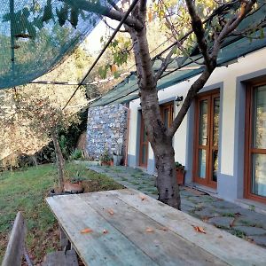 Arca Di Ne Bed & Breakfast Terisso Exterior photo