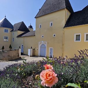 Schloss Thorn Hotel Palzem Exterior photo