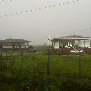 Hiranya Farm Stay Sawantwadi Exterior photo