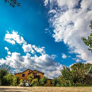 Party House Hotel Bulbucata Exterior photo