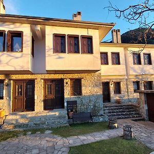 Αρχοντικό Βαρσάνη ! Villa Anilio Metsovo Exterior photo