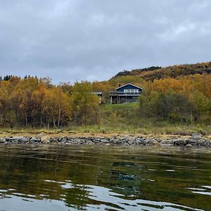 Villa Blue Ocean - Aurora Borealis Or Midnight Sun Engenes Exterior photo