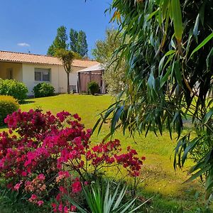 Gite De L'Aiguille Villa Oeyreluy Exterior photo