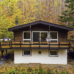 Chalet Dans Les Arbres. 3 Ch. /Trees House 3Bdr Villa Lac Sainte-Marie Exterior photo