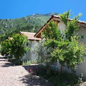 Olympos Valley Bungalow Hotel Kumluca Exterior photo