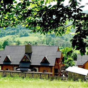 Приватна Садиба Дикий Мед Bed & Breakfast Ploskoye Exterior photo