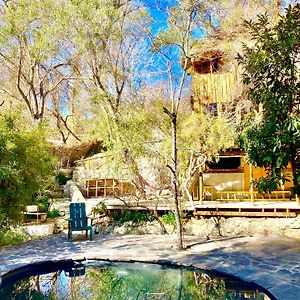 La Casa Entre Los Arboles En El Valle De Elqui Montegrande Villa Paihuano Exterior photo