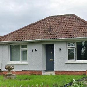 Self Contained 3 Bedroom Spacious Bungalow Westbury  Exterior photo