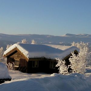 Charming Cabin With Old Timber, Fireplace & Views Apartment Beitostolen Exterior photo