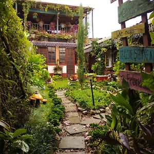 Hotel Casa Chapultepec Coban Exterior photo