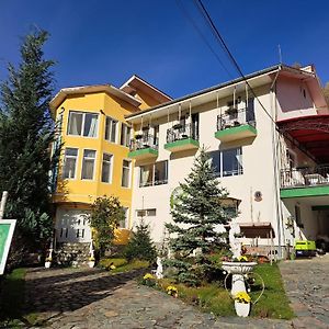 Pensiunea La Mesteceni -Zur Birke, Poiana Marului-Caras Severin Hotel Exterior photo