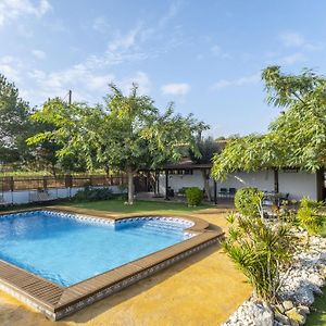 Los Caleros Villa Algorfa Exterior photo