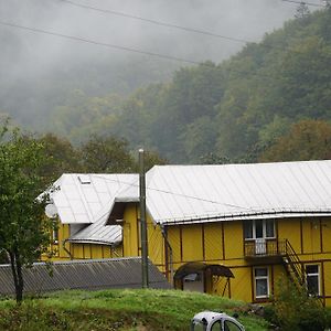 Дім З Видом На Гори. Hotel Vizhenka Exterior photo