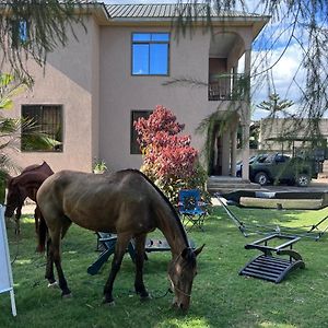 Beyond Explorer Safaris Bed & Breakfast Arusha Exterior photo