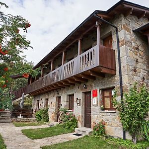 El Mirador De Sanabria Apartment Galende Exterior photo