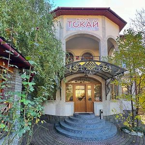 Вілла Токай Hotel Rakhiv Exterior photo