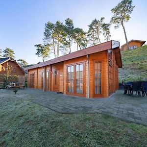 Wooden Chalet With Wifi Near Brunssummerheide Villa Exterior photo