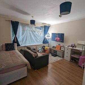 Cosy Ground Floor Studio Flat Apartment Hounslow Exterior photo