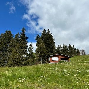 Ferienhaus Alpsteinsicht Villa Appenzell Exterior photo