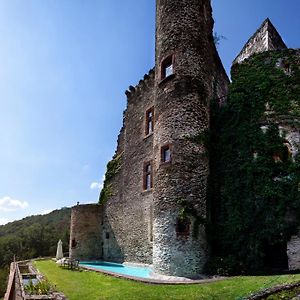 Chambre D'Hotes Au Chateau De Belcastel Bed & Breakfast Belcastel  Exterior photo