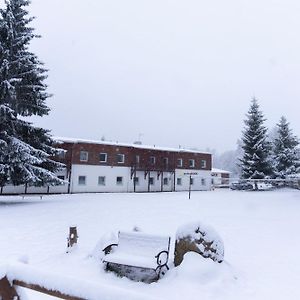 Penzion Dobik Pasecna Hotel Predni Vyton Exterior photo