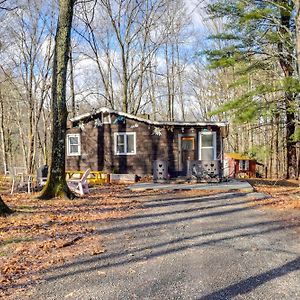 Mtn Views And On-Site Hiking Trails Catskills Cabin Villa Round Top Exterior photo